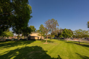Los Nietos Park-HectorIslas-014