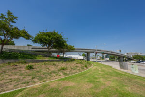 The Bridge-HectorIslas-002